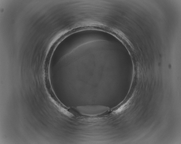 X0000078291024200611101103