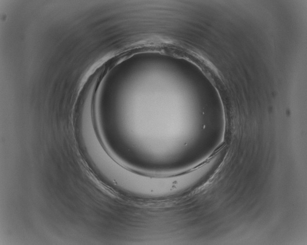 X0000078291026200611101103