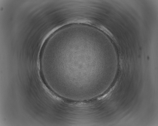 X0000078291028200611101103