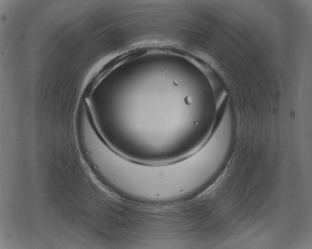 X0000078291030200611101103