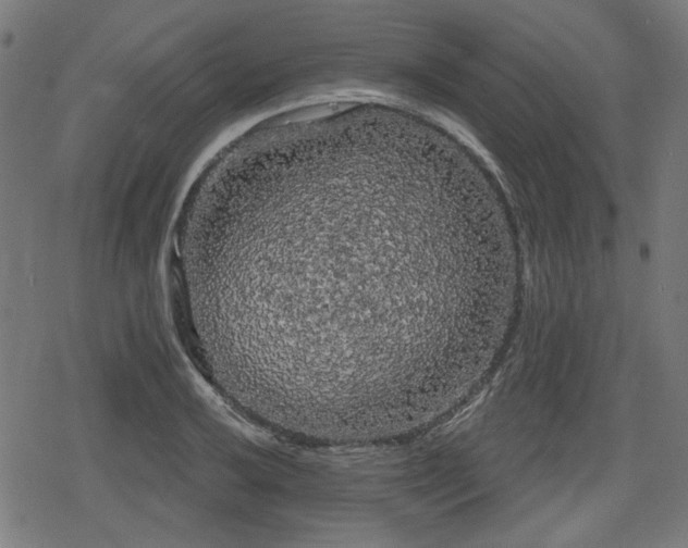 X0000078291032200611101103