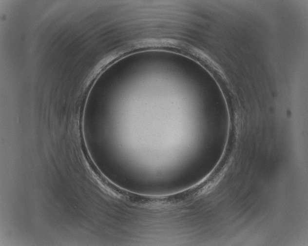 X0000078291033200611101103