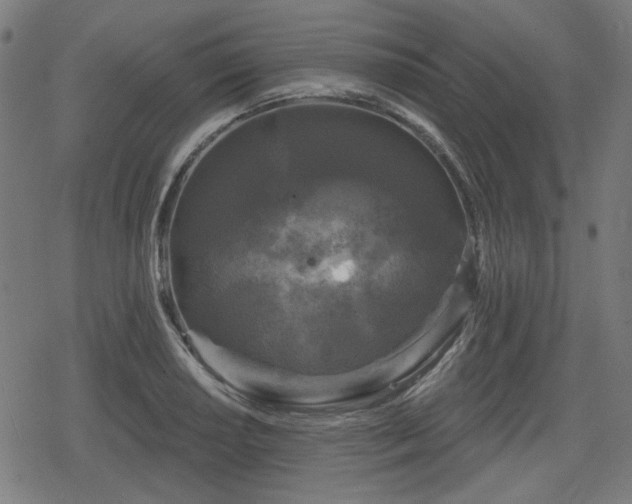 X0000078291034200611101103