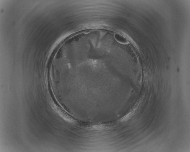 X0000078291035200611101103