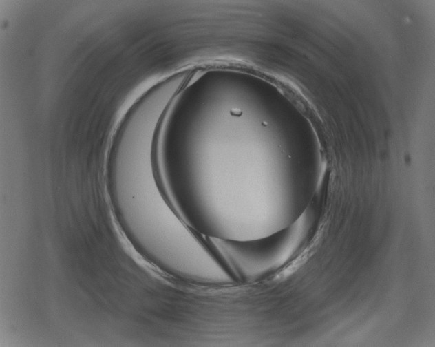 X0000078291038200611101103