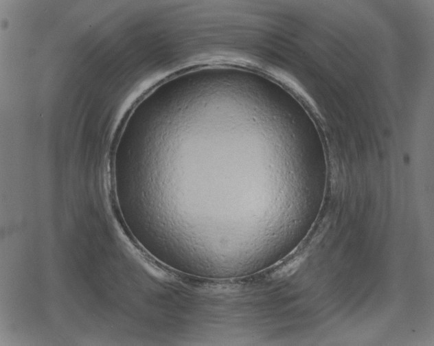 X0000078291040200611101103