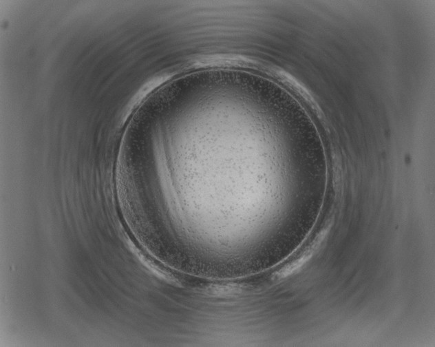 X0000078291041200611101103