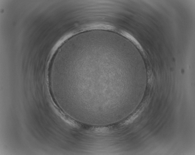 X0000078291043200611101103