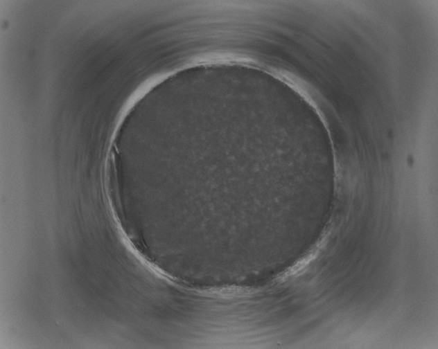 X0000078291045200611101103