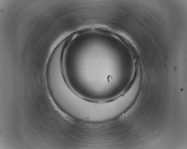 X0000078291046200611101103