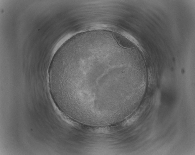 X0000078291047200611101103