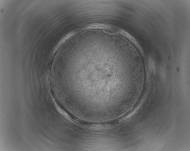 X0000078291049200611101103