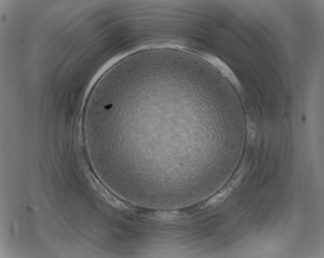 X0000078291052200611101103