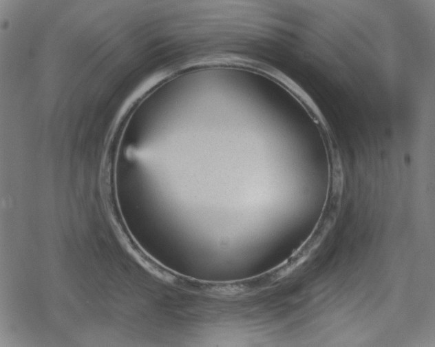 X0000078291053200611101103