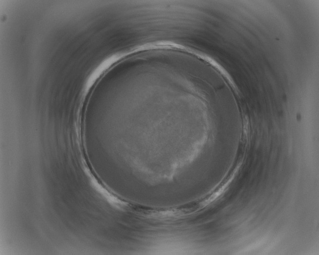 X0000078291054200611101103