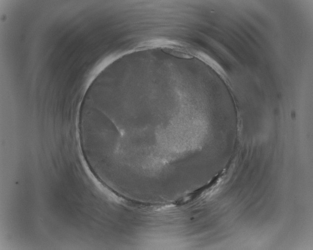 X0000078291055200611101103