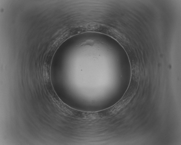 X0000078291058200611101103