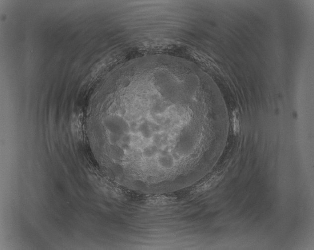 X0000078291059200611101103