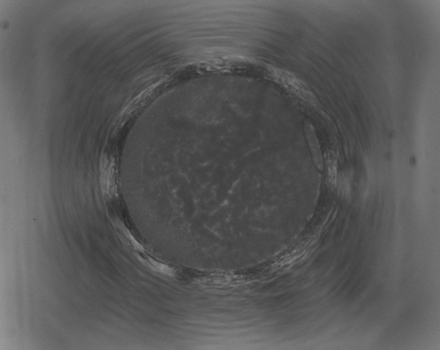 X0000078291060200611101103