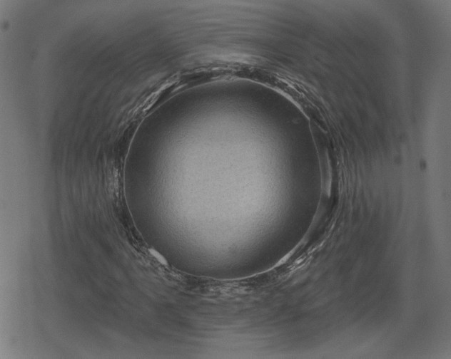 X0000078291061200611101103