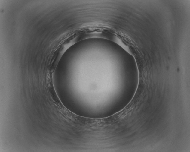 X0000078291062200611101102