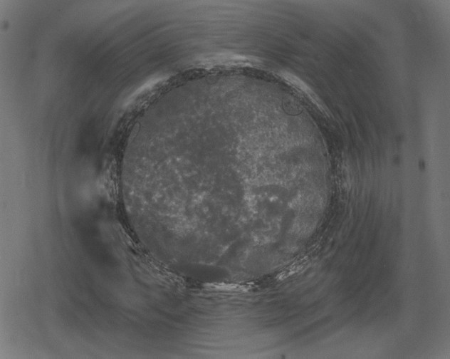 X0000078291063200611101102