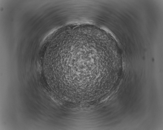X0000078291064200611101102