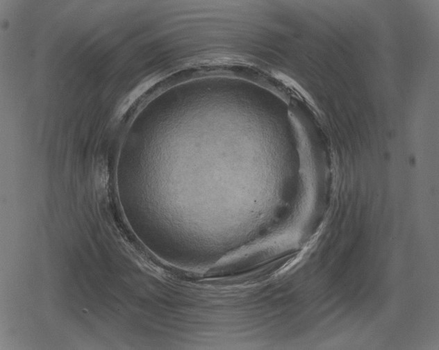 X0000078291065200611101102