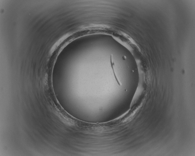 X0000078291066200611101102