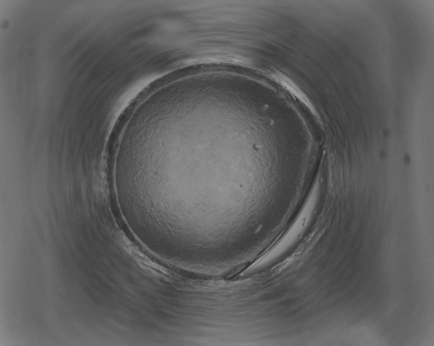 X0000078291068200611101102