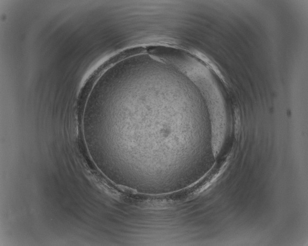 X0000078291069200611101102