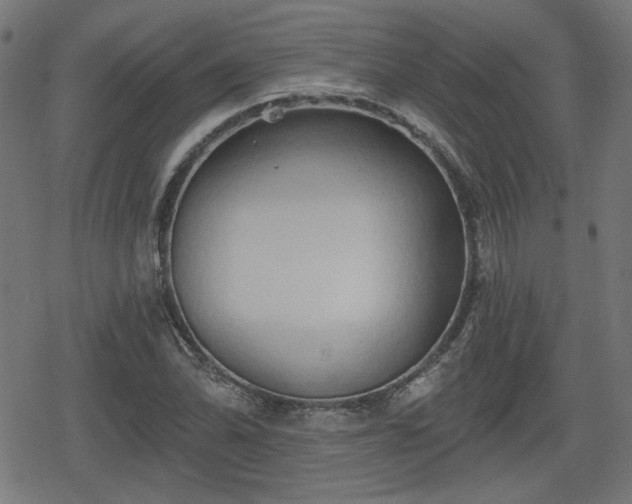 X0000078291070200611101102