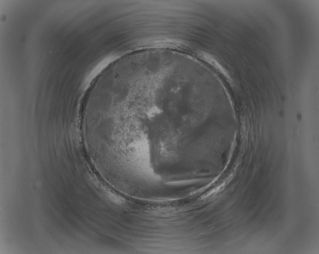 X0000078291071200611101102