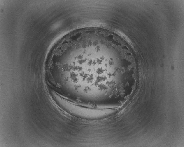 X0000078291072200611101102