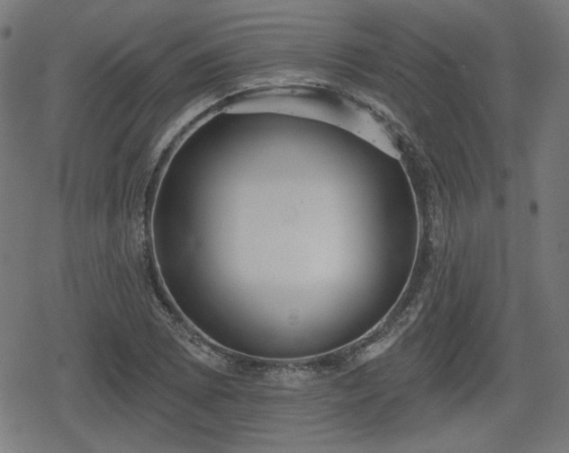 X0000078291073200611101102