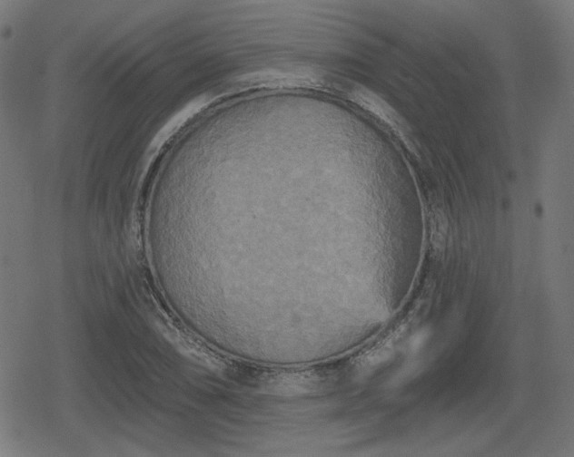 X0000078291074200611101102