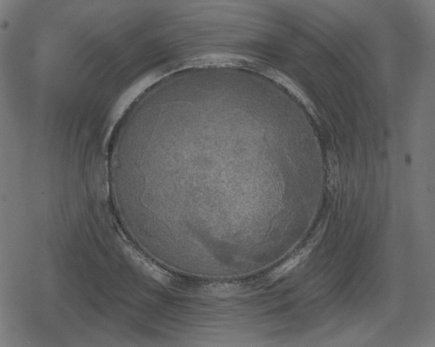 X0000078291075200611101102