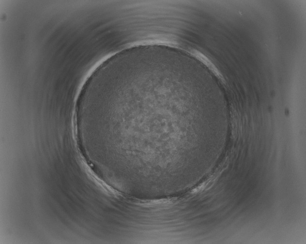 X0000078291076200611101102