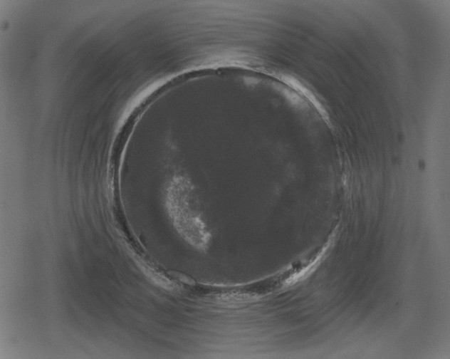 X0000078291077200611101102