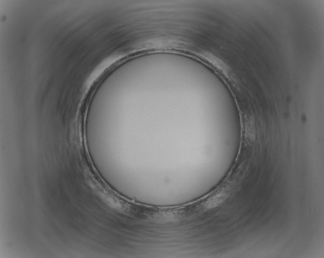 X0000078291078200611101102