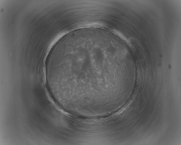 X0000078291079200611101102