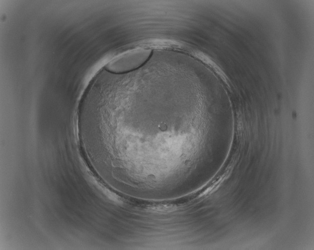 X0000078291083200611101102