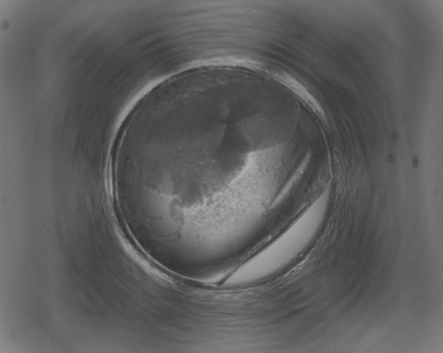 X0000078291084200611101102