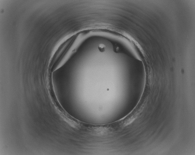 X0000078291085200611101102