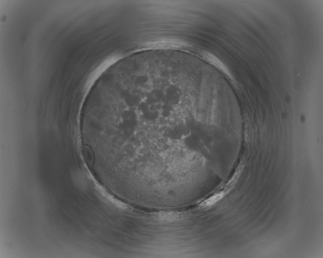 X0000078291087200611101102