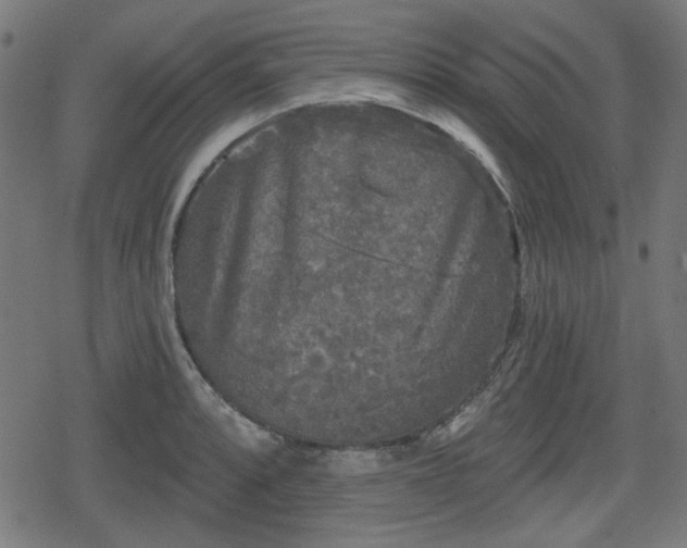 X0000078291088200611101102