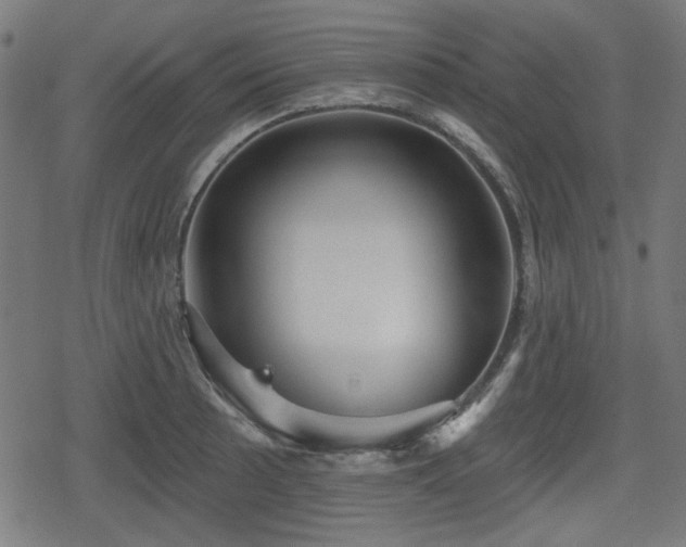 X0000078291089200611101102