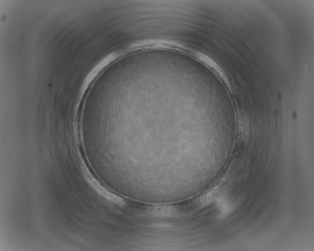 X0000078291090200611101102