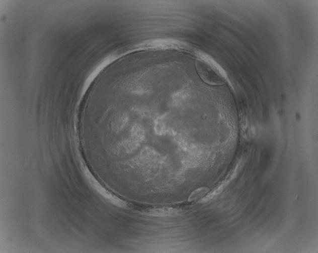 X0000078291091200611101102