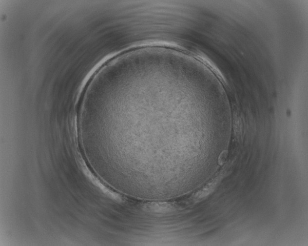 X0000078291092200611101102